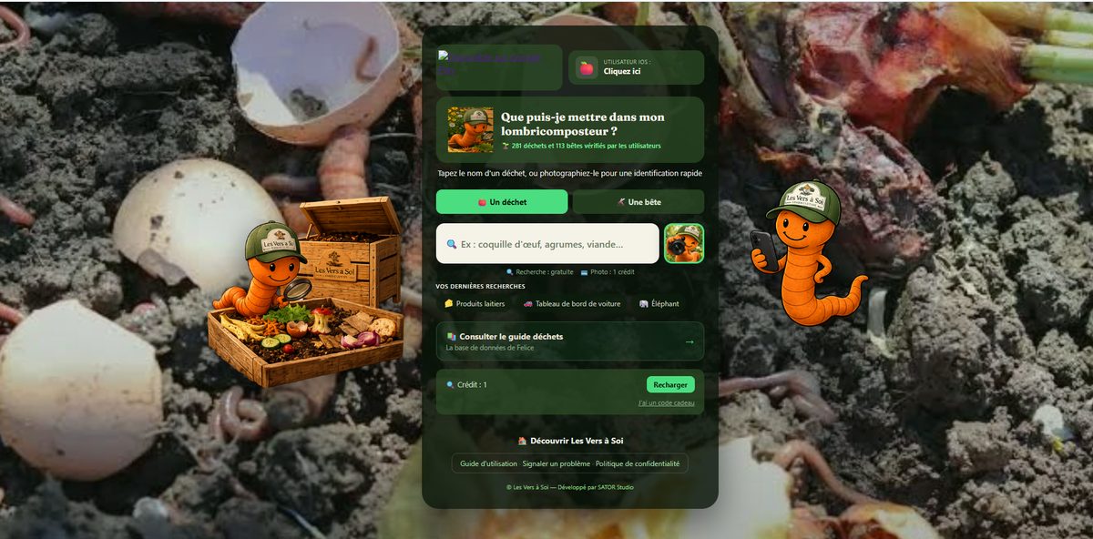 Application Felice, interface web